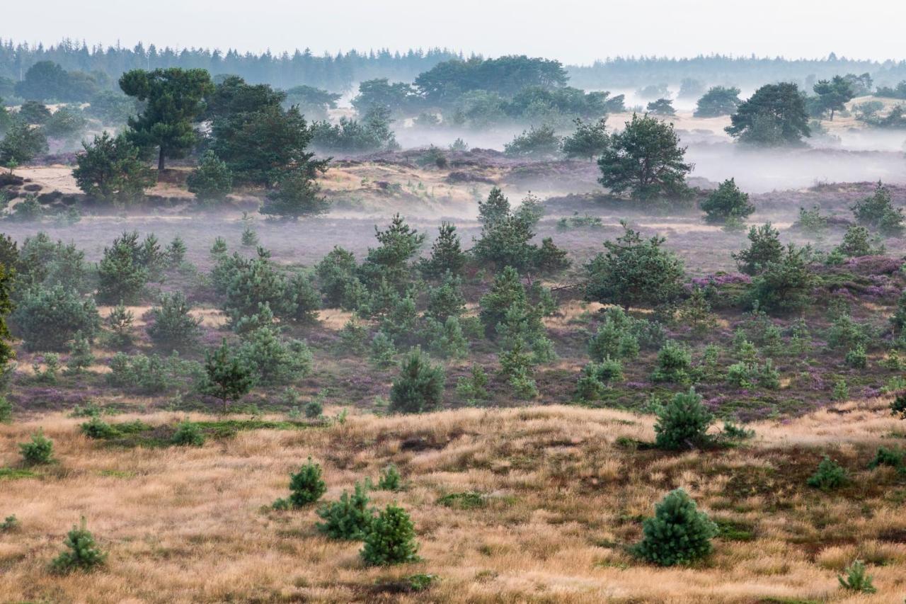4P Chalet Tolve Met 4 Fietsen Vlakbij Natuurgebieden Drents Friese Wold, Fochteloerveen En Gevangenisdorp Veenhuizen Oosterwolde  Exterior foto